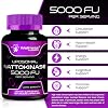 Nattokinase Supplement Capsules 5000 FU, Third-Party Tested Nattokinase Enzymes from Japanese Natto Daily Wellness Support 120 Count (Pack of 1)