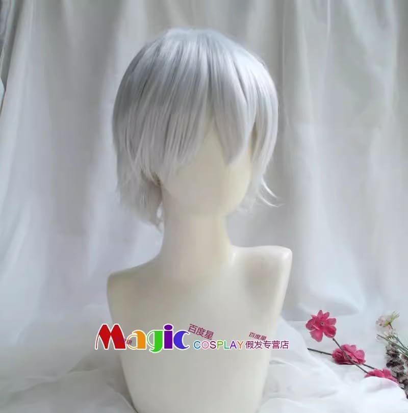 西園寺羽京 コスプレ ウィッグ付き Amazon.co.jp: 西園寺羽京 コスプレウィッグ : ホビー