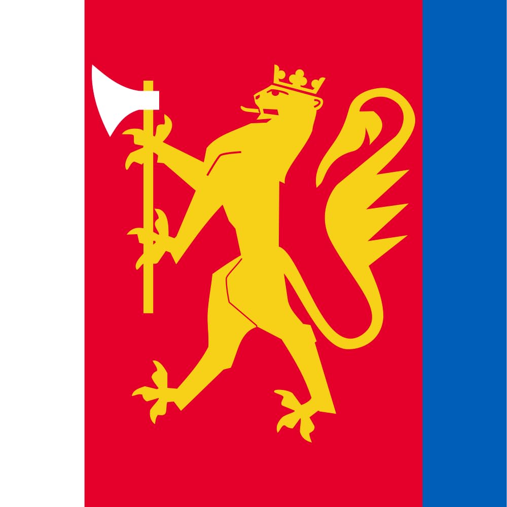 Drapeau Opplandske Home Guard District 05 pour salon de collectionneur