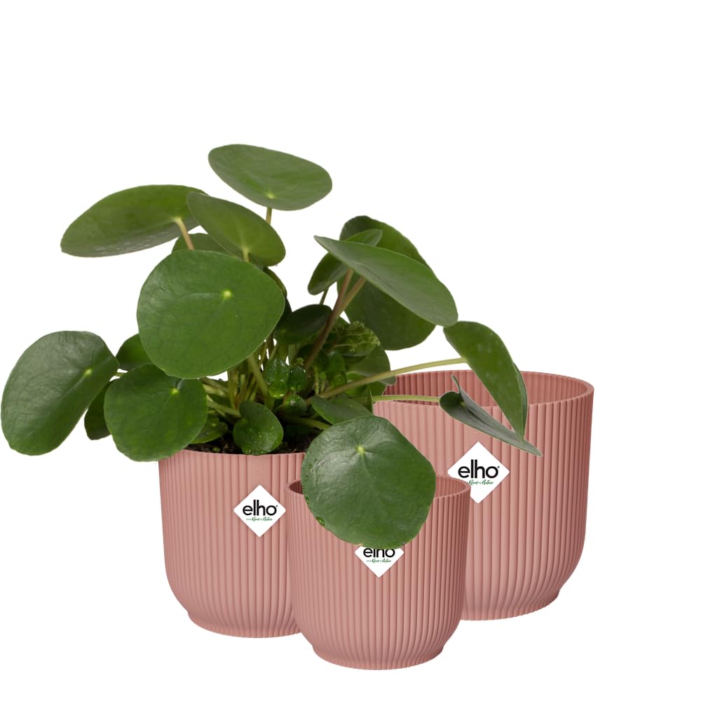Elho Delicate Pink Vibes Fold Round - Flower Pots From 100% Recycled Plastic - Indoor Plant Pots - Set Of 3 - Ø 14, 16, 18 Cm - Pink