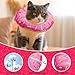 Seyezo Cat Cone Collar Soft, Adjustable Cat Recovery Collars Spay Cones to Stop Licking, Cute Donut E Collar After Surgery, Anti-Lick Wound Healing Elizabethan Collar for Kittens (Donut Pink, Small)