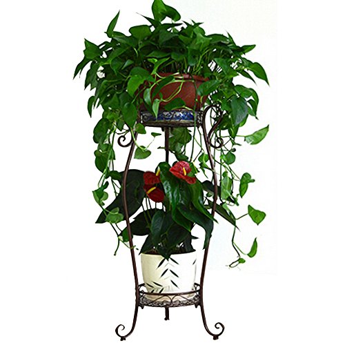 DAZONE Demountable Metal 2 Tiers Plant Rack Indoor Floor Model Potted Plant Stand (Bronze)
