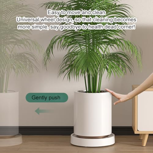 Bac de récupération d'eau pour sublimer vos plantes de salon - 6