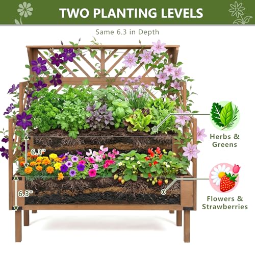 Image of ketive 2 Tier Raised Garden Bed with Trellis & Top Shelf, Elevated Wooden Planter Box for Vegetables Flowers Herbs, Outdoor Vertical Gardening Planter for Backyard Patio Balcony