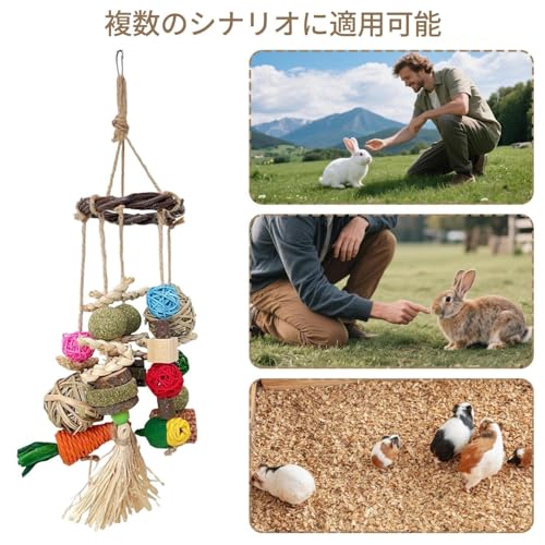 Setauoo チンチラのおもちゃ,天然ウサギかじりおもちゃ 退屈しのぎ 防止 | ハムスターやフェレットチンチラリス小型ペットの退屈防止と歯磨きのおやつ