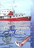  Die Oktopoden der Adria: Erste Sächsische Unterwasserexpedition