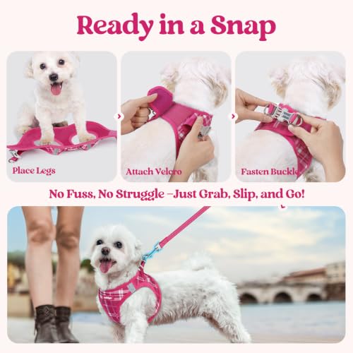 Image of rabbitgoo Dog Harness Small Sized and Leash Set, Step-in Puppy Pet Vest