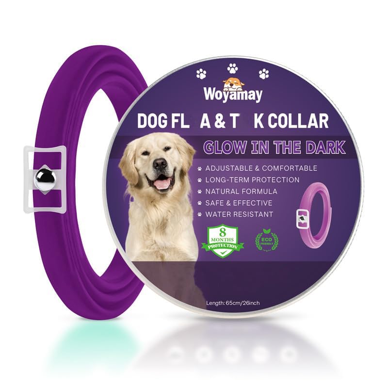 Woyamay Collar Antiparasitario Perros, Luminoso Collar Antipulgas Perros, 65cm Eficaz Collar Perro de Pulgas y Garrapatas, 8 Meses de Protección, Impermeable para Pequeño Mediano Grandes, Púrpura