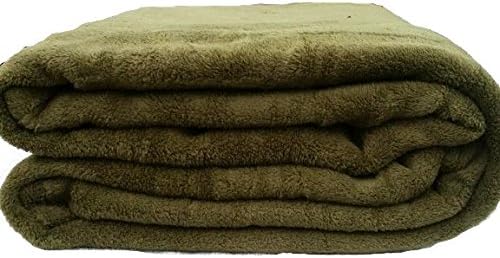 EMPIRE Coral Fleece Super Soft Solid Throw Blankets (King, Sage Green)
