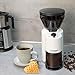 Cloer 7521 Elektrische Kaffeemühle mit Kegelmahlwerk aus Edelstahl, 2-12 Tassen, 300 g Kaffeebohnen, 150 W, verstellbarer Mahlgrad, weiß