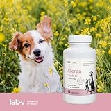 Lab-V Allerga Control für Hunde und Katzen – Ergänzungsfuttermittel bei allergiebedingten Hautreaktionen – 90 Kapseln – ohne künstliche Zusatzstoffe – täglich anwendbar
