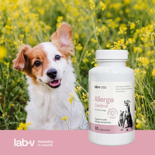 Lab-V Allerga Control für Hunde und Katzen – Ergänzungsfuttermittel bei allergiebedingten Hautreaktionen – 90 Kapseln – ohne künstliche Zusatzstoffe – täglich anwendbar