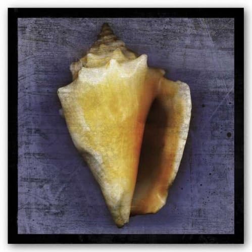 Fighting Conch Poster Print by John Golden (12 x 12)