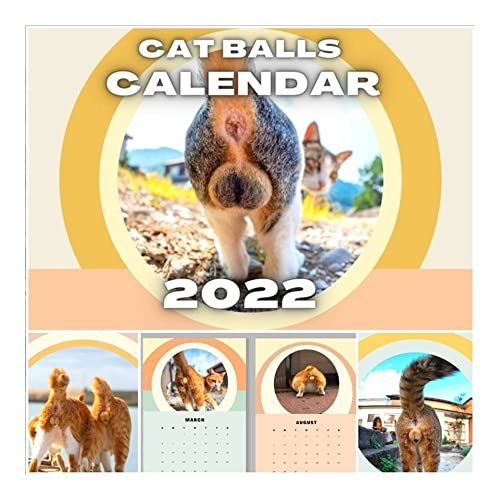 list-of-10-best-cat-ball-calendar-2023-reviews