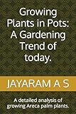 Growing Plants in Pots: A Gardening Trend of today.: A detailed analysis of growing Areca palm plants.