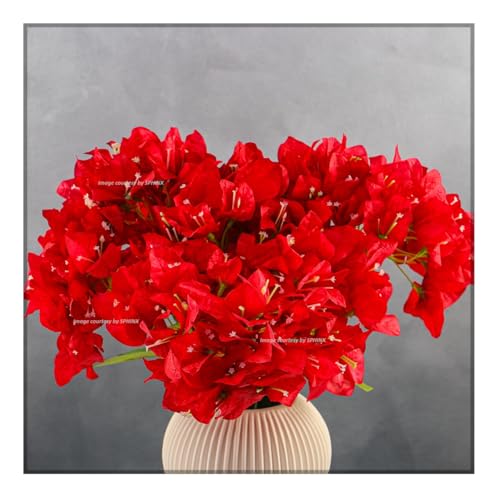Image of SPHINX Artificial Bougainvillea 5 Heads Bunch Without Vase for Home Decor,Centerpieces, Christmas Decorations, Welcome Reception, Dinner Table decor Approx Height 50 cms- (1 Piece, Red)