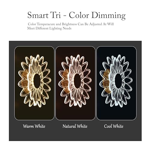 Image of Spiral Gride Glow 3-in-1 LED Wall Light | (Glowing Circular 3-in-1 LED Wall Light, Pack 1) (Artistic Petal Design, Pack of 2)
