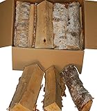 Birke verbrennt mit einer schönen bläulichen Flamme