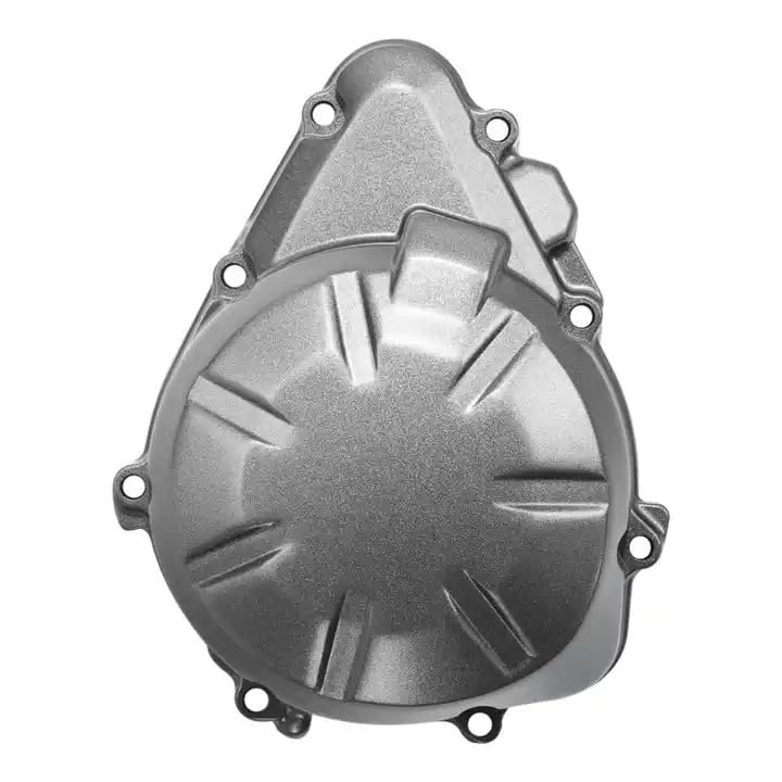 TERAM LOISIRS Carter Sinistra Stator compatibile per Kawasaki Z 900 ABS 2017 2018 2019 2020