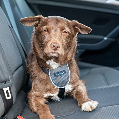 Image of CarSafe Dog Travel Harness - Safely Secure Dog in Car, Ensures Road Laws and Insurance Terms When Travelling with Your Pet. for Toy, Small, Medium and Large Dogs (Size Small)