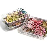 Sunjun 3 Kisten Getrocknete Blüten Gepresste Blumen Getrocknete Blumen für Epoxidharz Anzug Epoxy DesignGetrocknete Blumen für Seife(10+ Arten von Blumen pro Box)