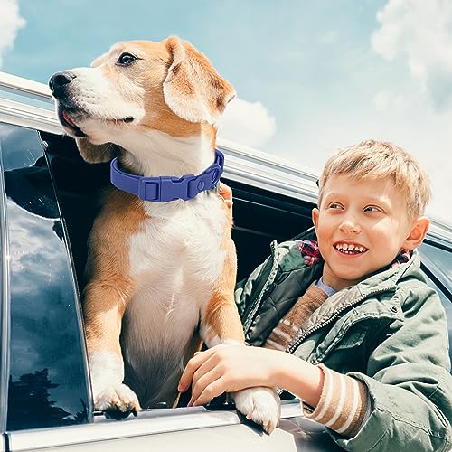 Collier imperméable pour chien ajustable de petite moyenne et grande taille - 4