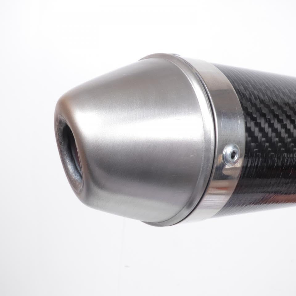Giannelli - Silenziatore di scarico per Moto Beta 50 RR Enduro Standard 2009-2011, Codice dell’Articolo: 34688HF C