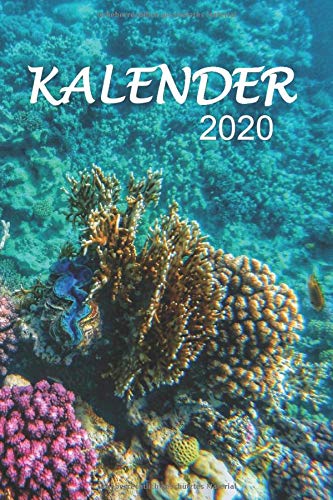 Preisvergleich Produktbild Kalender 2020: Terminplaner, Studienplaner, Journal, Notizbuch für das gesamte Jahr 2020, Unterwasser Korallen Design, 6 x 9 Zoll, Hochglanz, hochwertiges Design, ideal als Geschenk für Taucher