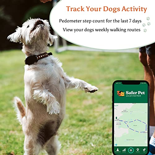 Safer Pet GPS Dog Tracker & Activity Monitor - Unlimited Range Dog GPS Tracker UK and Europe - Subscription Required - Ultra-Light Pet Tracker with Long Life Battery - Silicone Case Fits Any Collar - Image 4