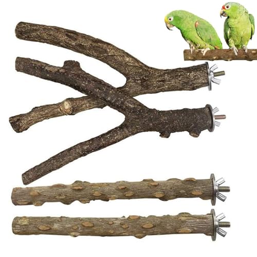 Lushly 4 Piezas Perca de Pájaro de Madera Natural, Ramas de Madera en Forma de Jaula, Perchas Forma Y para Loros, Mader Natural para Jaulas de Pájaros para Loros para Guacamayos Cacatúas Pericos