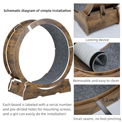 ARADNEO Roda de exercício para gatos, roda de corrida para gatos, exercício de roda de gato grande p