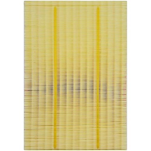 Capume Engine Air Filter JM5303