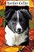 Border Collie: Quaderno 100 pagine a righe / Design originale "Serie Jolly Molly"