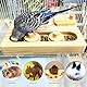 YSJCHEBS 1 Stück Hamster-Futterstation Und 1 Stück Leine, Kleintierbedarf, Holz-Futterstation, Hamster-Futterspielzeug