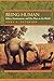Being Human: Ethics, Environment, and Our Place in the World
