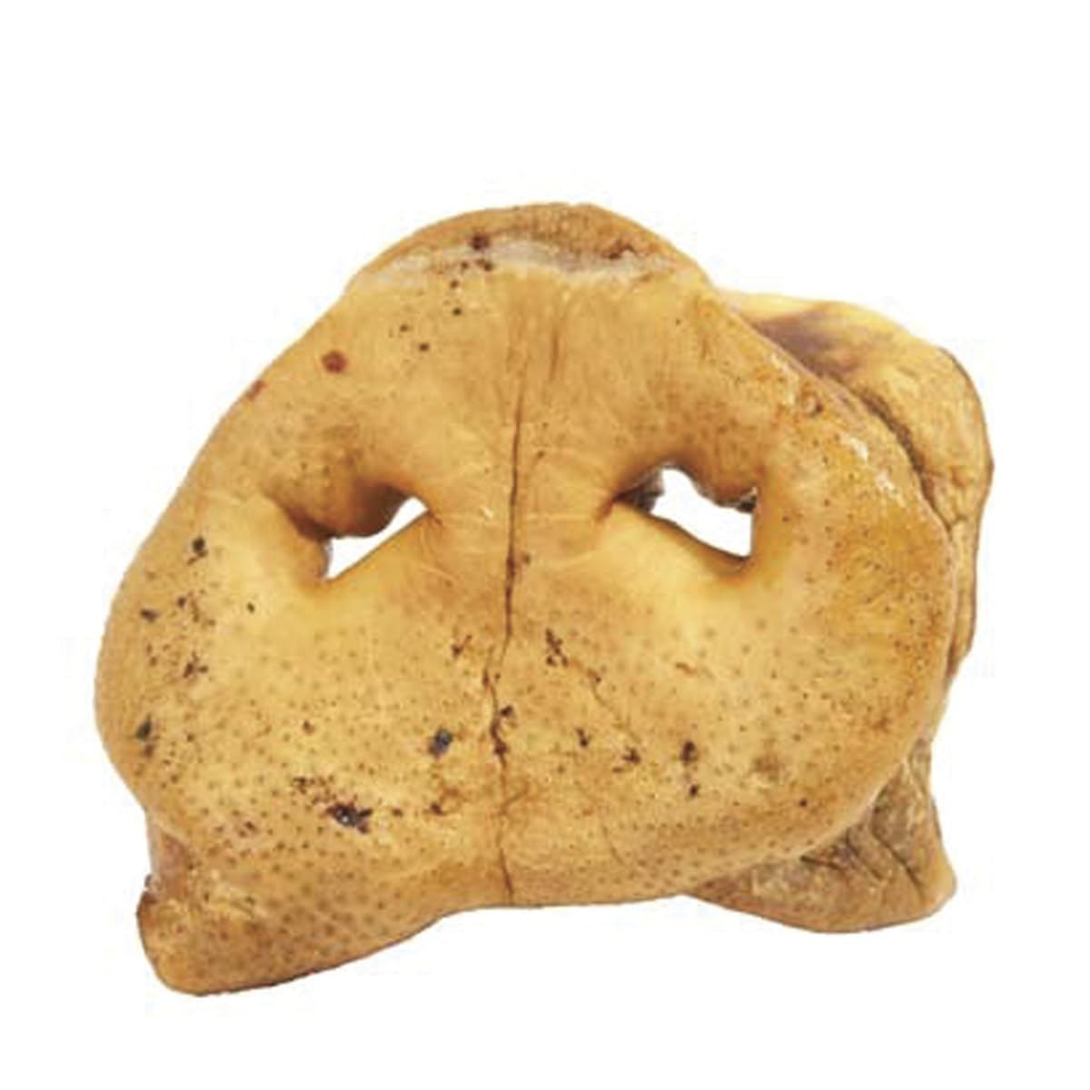 Redbarn Pet Products - Pig Snouts Pet Treats Dog Supplies 50 Pieces in The Case