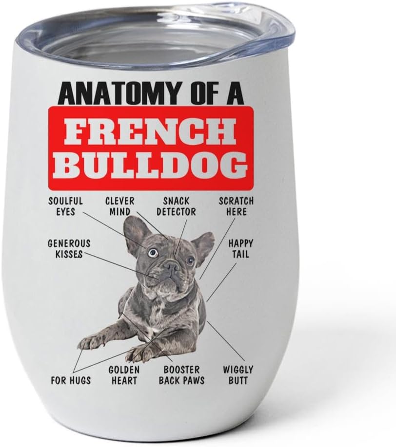 Brown Merle French Bulldog Tumbler 12oz - Funny Anatomy Chart Design - Stainless Steel Vacuum Insulated Wine Cup With Lid - Gifts for Dog Lovers
