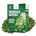 Produktbild LERAVA® Klee samen dichondra [Kein Mähen erforderlich] - 20m² - Extreme Trockenbeständigkeit - Dichondra repens samen ideal für schattige und sonnige Bereiche - Mikroklee samen rasen - 200g