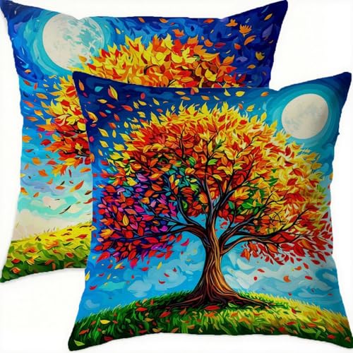 Housses de coussin velours double face de qualité supérieure 70x70 cm lot de 2 - 2