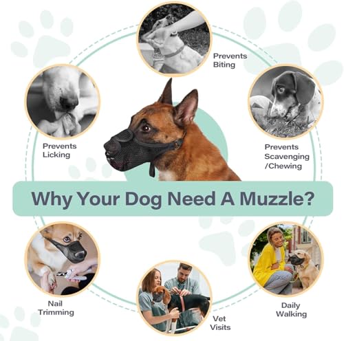 JAONLD Maulkorb für Hunde Einstellbar Hunde Maulkorb Mit Klettverschluss Giftköderschutz Hund Atmungsaktiv und Sicher Fressschutz Hund Geeignet zum Schutz vor Fressen, Bissen und Bellen (L)