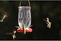 Vista 2 de Classic Brands LLC Tulip - Comedero para colibríes, rojo, 22 onzas, (CLASSIC407)