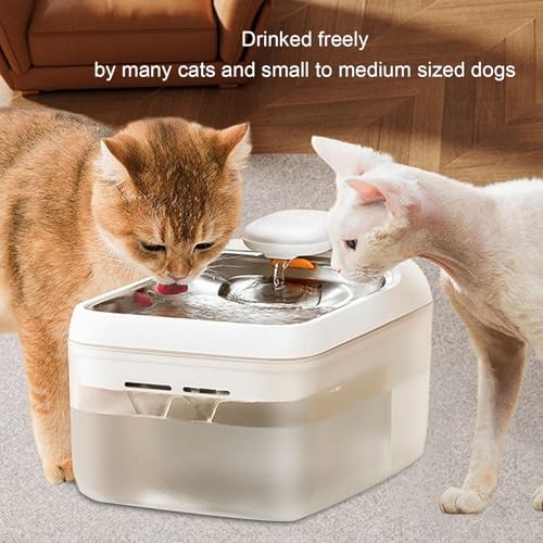 Fuente de agua automática para mascotas 4.5L acero inoxidable miniatura 3