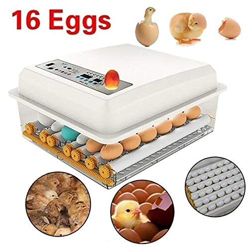 Eggs Incubator, 16 Eggs Digital Mini Automatic Incubator with Turner for Hatching Turkey