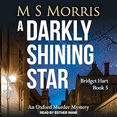 A Darkly Shining Star cover art