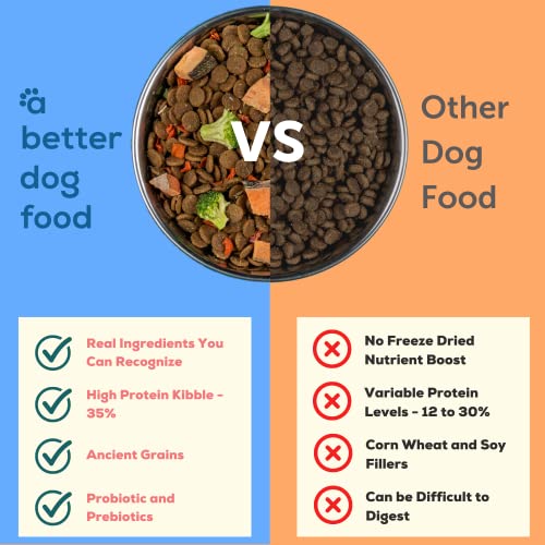 A Better Dog Food | Salmon Dry Dog Food | Raw You Can See | High Protein Kibble + Freeze Dried Raw Dog Food A Better Dog Food | Salmon Dry Dog Food | Raw You Can See | High Protein Kibble + Freeze Dried Raw Dog Food