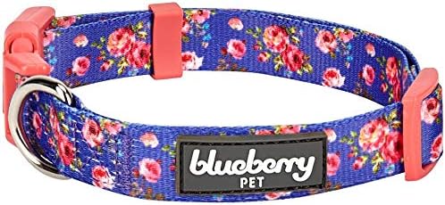 Blueberry Pet 7 Patterns Spring Scent Inspired Rose Print Irish Blue Adjustable Dog Collar, Small, Neck 12"-16"