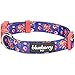 Blueberry Pet 9 Patterns Spring Scent Inspired Rose Print Irish Blue Dog Collar, Medium, Neck 14.5"-20", Adjustable Collars for Dogs