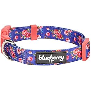 Blueberry Pet Dog Collar Rose Print, Adjustable Medium Dog Collars for Medium Dogs, Large & Small Dogs, Puppy Collar, Pink Dog Collar for Girls, Eco-Friendly, 14.5-20 in Neck