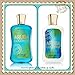 Bath & Bodyworks 2013 'Aruba Coconut' Body Lotion & Shower Gel Set