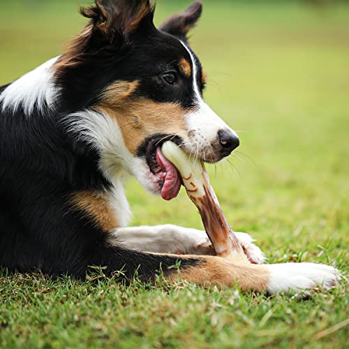 Tikaton Holiday 3-Pack Durable Dog Chew Toys for Aggressive Chewers, Beef Flavor, Medium…